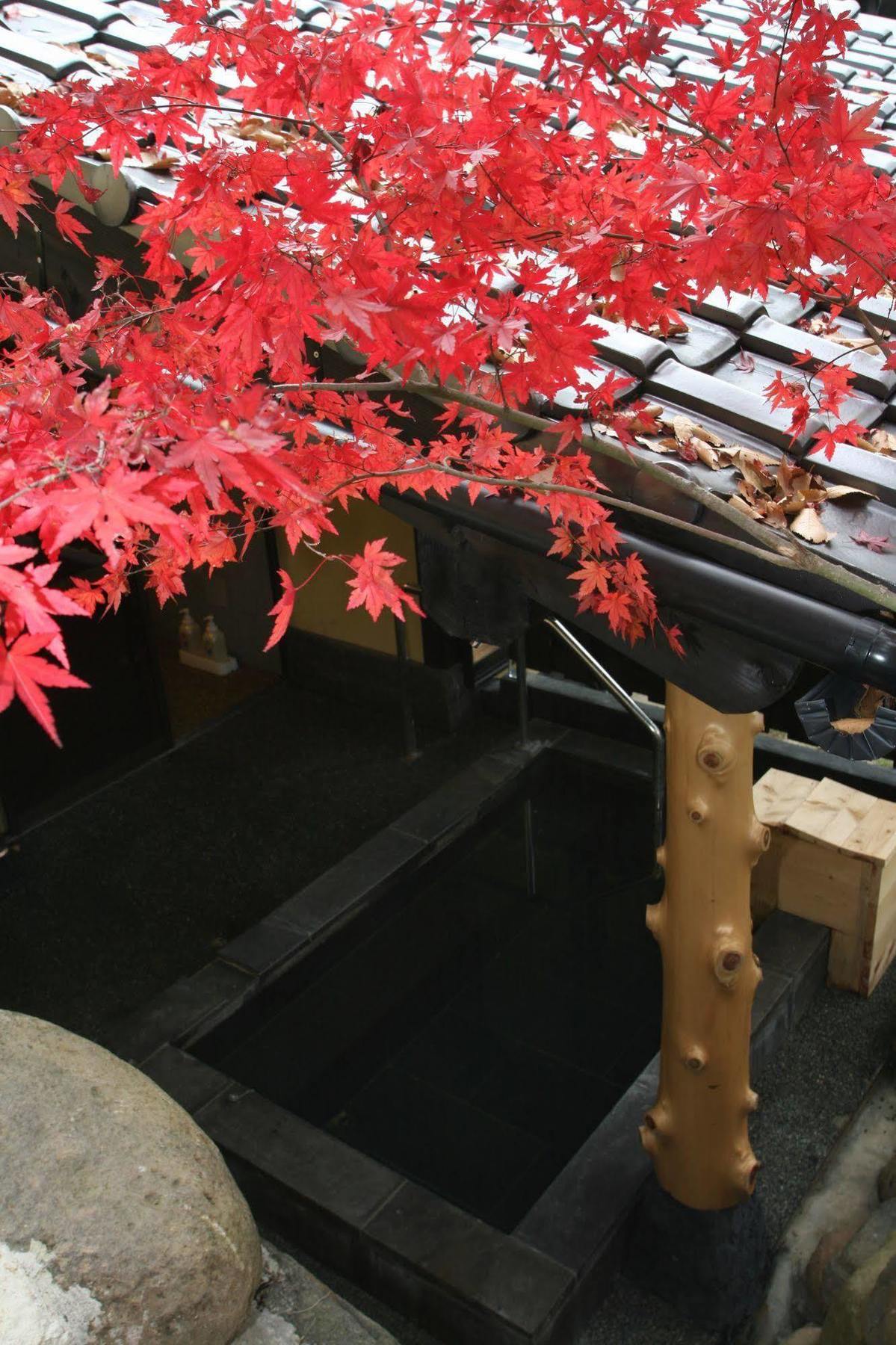 Hotel Yamashinobu à Minamioguni Extérieur photo
